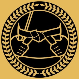 fightnize logo perfil VF Comunica Vitor Freitas
